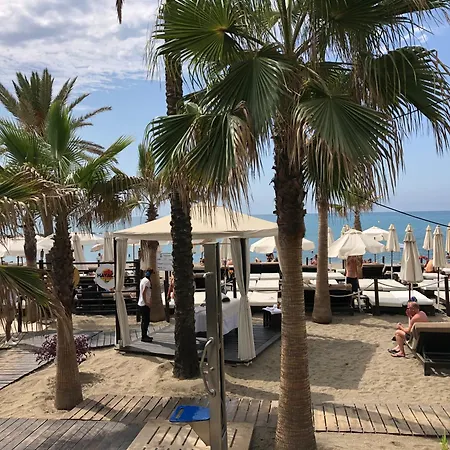 Paradise In Apartman